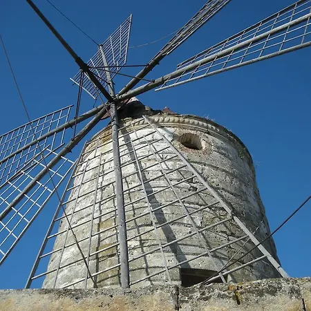 Casa Movida Lejlighed